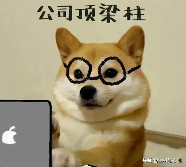 ɳЦİЦˡ