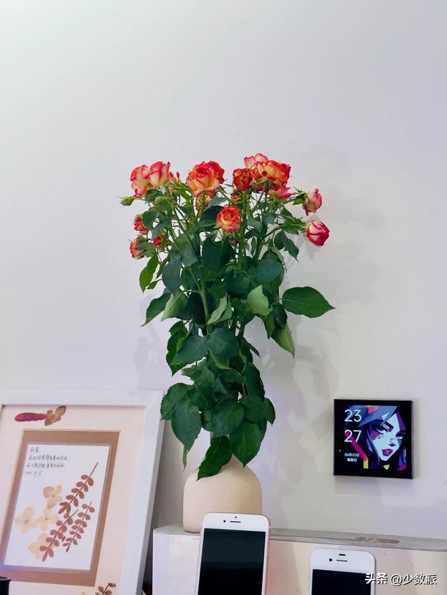 װApple Home ܼҾӣҵ˼·뷽