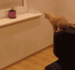 32ųЦͼЦ䣬ЦһЦʮ