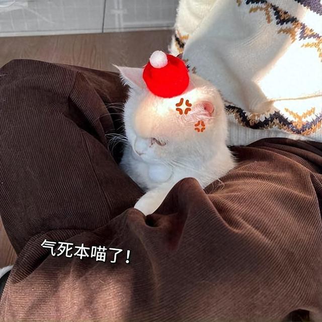 ЦʮûУҪúдҵ³