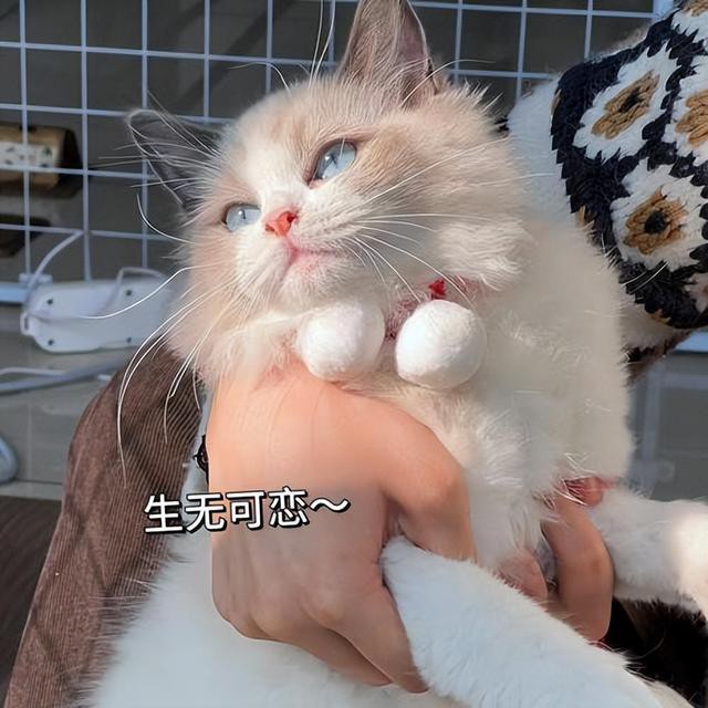 ЦʮûУҪúдҵ³
