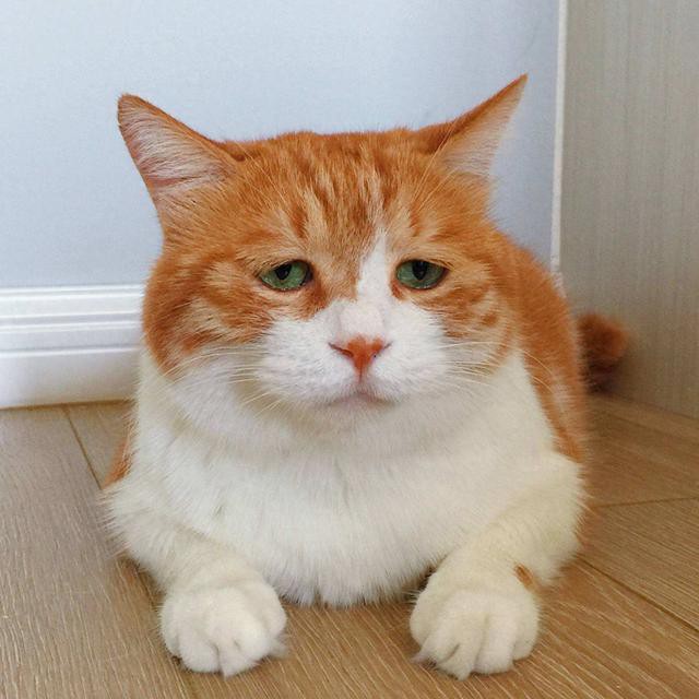 ЦʮŮȥ԰ϻιϻʱŮѲСĵȥ