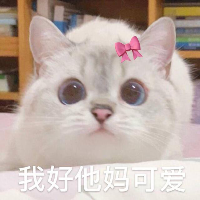 ЦʮȥСÿɰ͵ģ̲ס