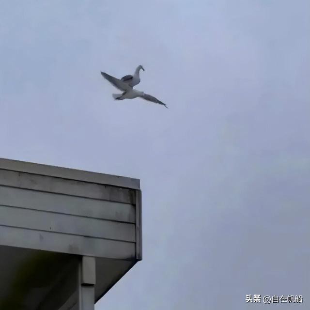 ̵ȫЦ۵ĸЦͼƬЦ˲~