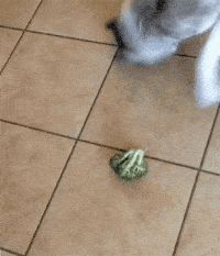 搞笑