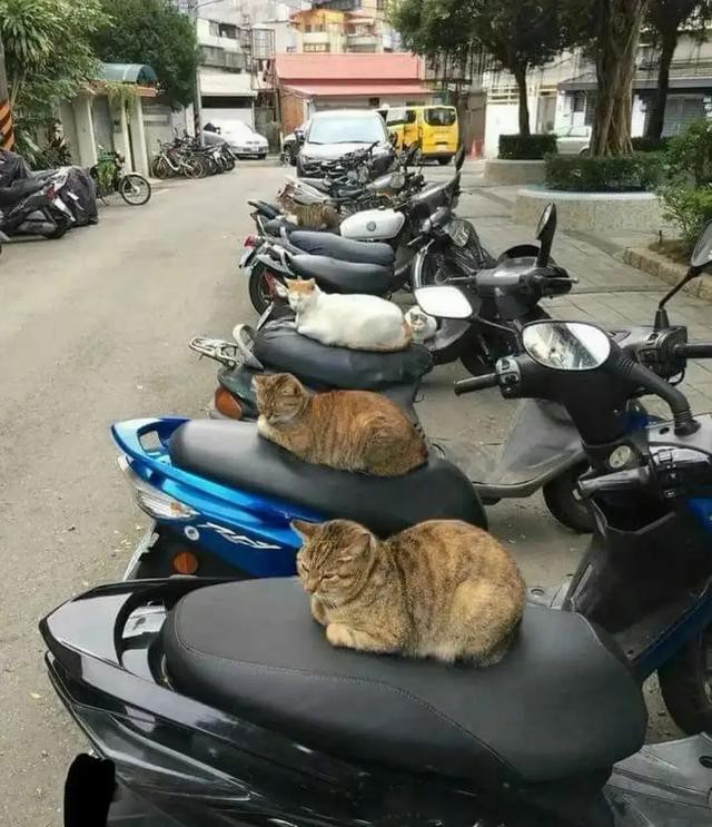 搞笑