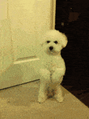 Ц