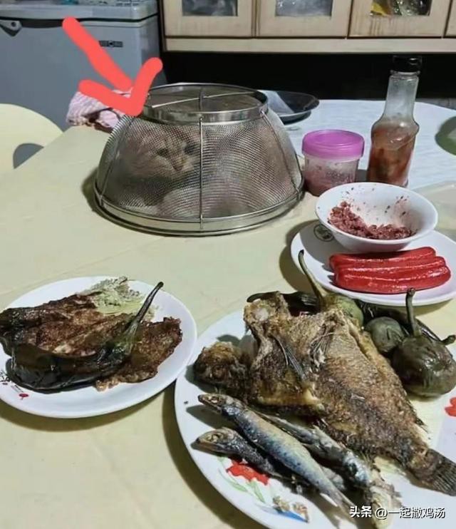 Ц