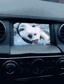 Ц